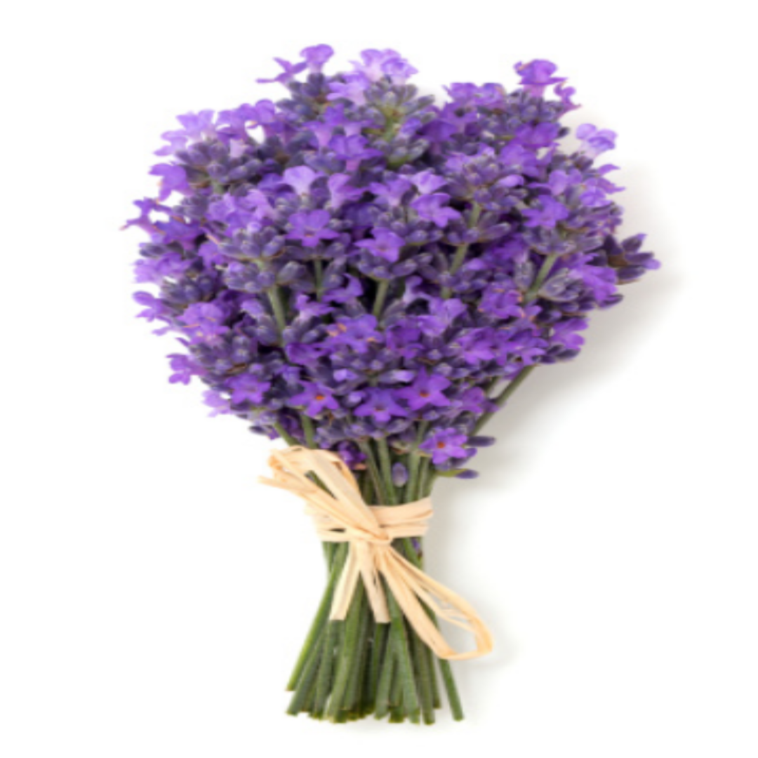 ORGANIC DEODORANT- LAVENDER FRAGRANCE - FOR WOMEN-4