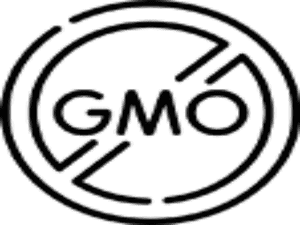 Rejuvenating Anti-Acne Organic Facial Scrub-2