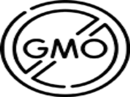 Rejuvenating Anti-Acne Organic Facial Scrub-2